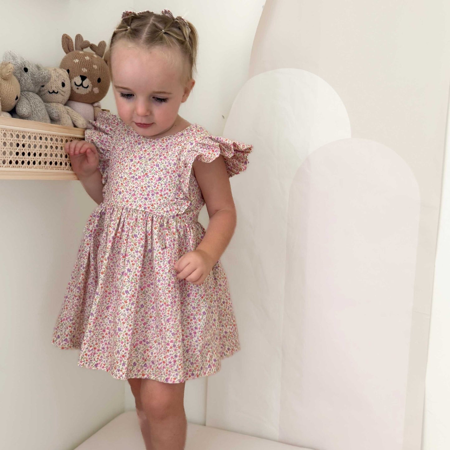 THE ENCHANTED DRESS