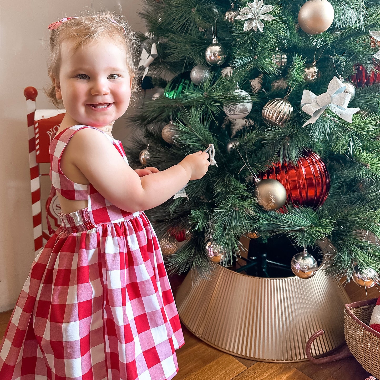 THE LITTLE MERRY GINGHAM DRESS
