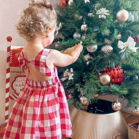 THE LITTLE MERRY GINGHAM DRESS