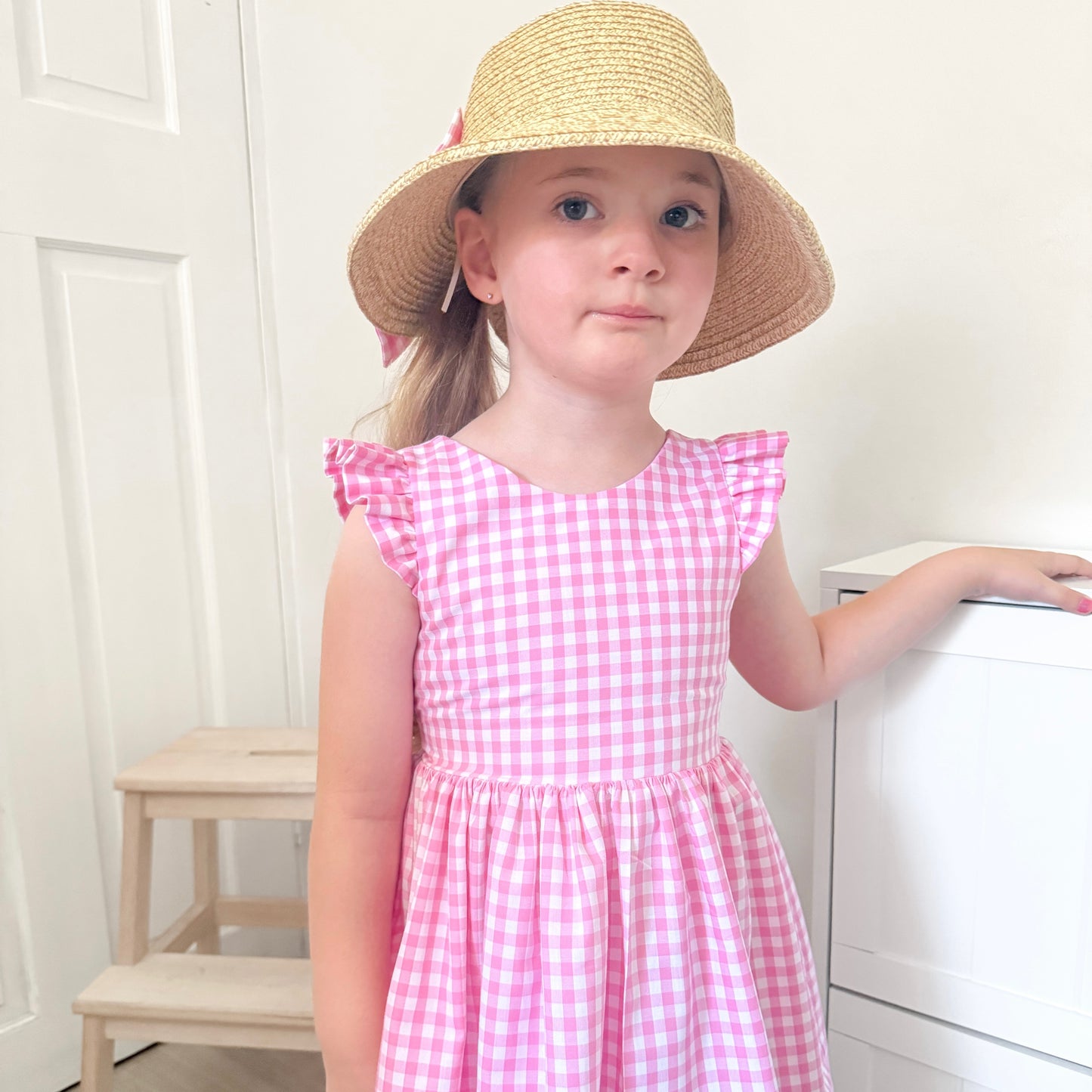 THE LITTLE PINK GINGHAM DRESS